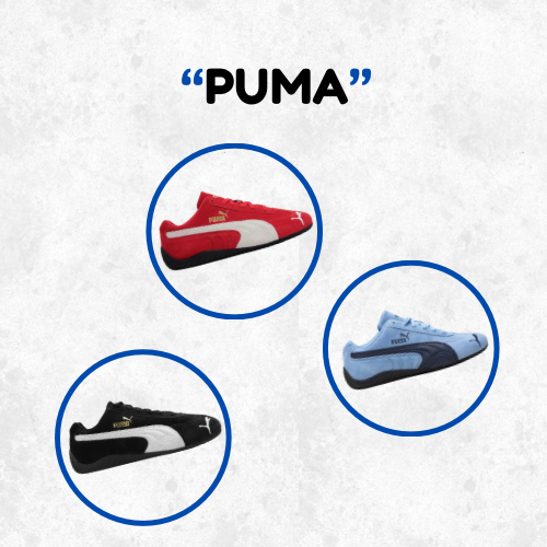 Puma (Master Quality)