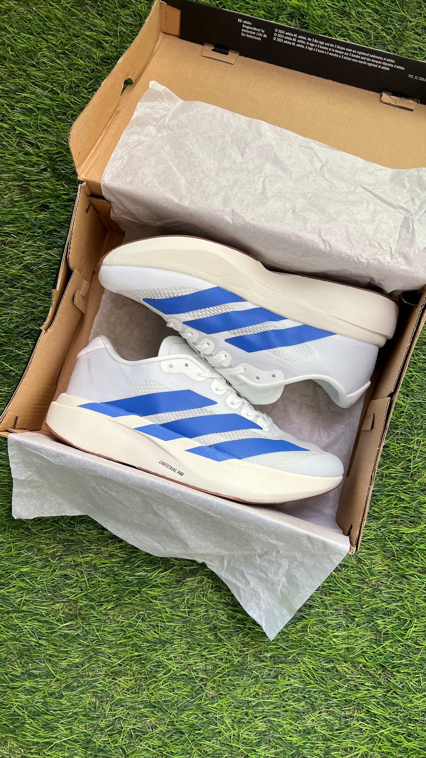 Adizero Evo SL "White Royal Blue" (Master Quality)